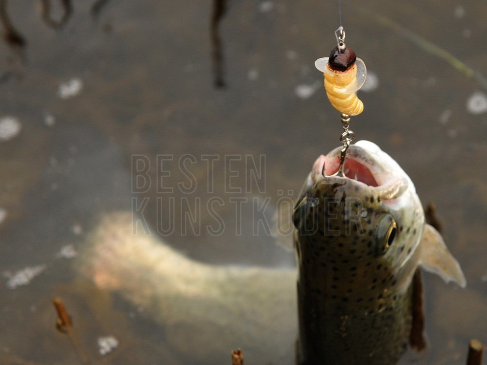 Forellenköder Spro Trout Master Camola