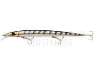 Wobbler Savage Gear Barra Jerk 21cm 34g F - Barracuda BESTEN KUNSTKODER Angelshop
