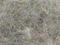 Hare Dubbing 2g - natural BESTEN KUNSTKODER Angelshop