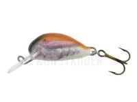 Wobbler Dorado Alaska A-2,5 Floating BT BESTEN KUNSTKODER Angelshop