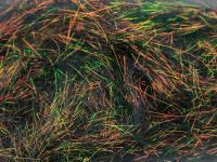 Angel Hair - Peacock Bronze BESTEN KUNSTKODER Angelshop