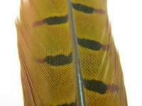 Cock Pheasant Centre Tail - Yellow BESTEN KUNSTKODER Angelshop