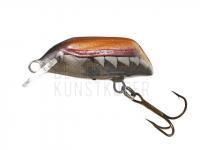 Dorado Wobbler Beetle 3 BESTEN KUNSTKODER Angelshop