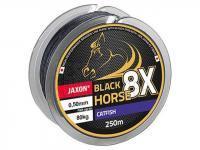 Jaxon Geflochtene Schnüre Black Horse 8X Catfish