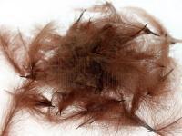 CDC Loose Grade Dyed 1g - Brown BESTEN KUNSTKODER Angelshop