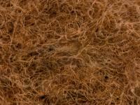 CDC Dubbing 0.5g - Dyed Pale Pardo BESTEN KUNSTKODER Angelshop