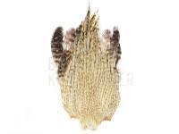 Cock neck - natural light BESTEN KUNSTKODER Angelshop