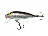 Wobbler Rapala CountDown 11cm - Silver