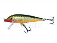 Wobbler Rapala CountDown 5cm - Redfin Spotted Minnow BESTEN KUNSTKODER Angelshop