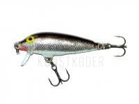 Wobbler Rapala CountDown 5cm - Silver BESTEN KUNSTKODER Angelshop