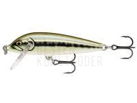 Wobbler Rapala CountDown 5cm - Artistic Minnow (AMN) BESTEN KUNSTKODER Angelshop