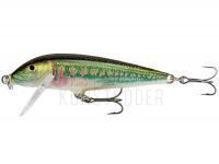 Wobbler Rapala CountDown 5cm - Minnow BESTEN KUNSTKODER Angelshop