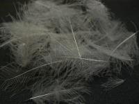 Cul de Canard #357 Slate Gray BESTEN KUNSTKODER Angelshop