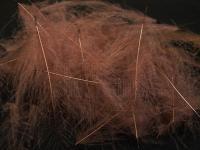 Cul de Canard #40 Brown BESTEN KUNSTKODER Angelshop