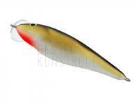 Dorado Dead Fish
