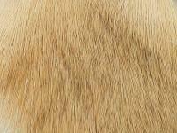 Wapsi Deer Body Hair - 026 Bleached BESTEN KUNSTKODER Angelshop