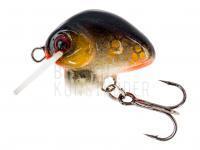 Wobbler HMG Lures Droop Killer 20mm | 3g - 0220302 BESTEN KUNSTKODER Angelshop