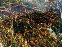 Dubbing Hareline Ripple Ice Fiber - #282 Peacock BESTEN KUNSTKODER Angelshop