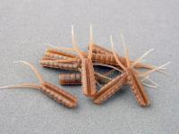 Hemingway's Evolution Stone Fly Body Tail - XL  Brown BESTEN KUNSTKODER Angelshop