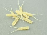 Hemingway's Evolution Stone Fly Body Tail - XL  Clear Yellow BESTEN KUNSTKODER Angelshop