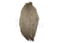 Balg Ewing Whole Cape - Nat. Grizzly BESTEN KUNSTKODER Angelshop