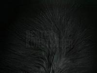 Federn Hareline Extra Select Marabou #11 Black BESTEN KUNSTKODER Angelshop