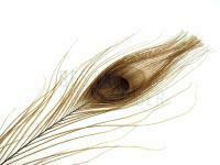 FMFly Peacock Eyes - Beige BESTEN KUNSTKODER Angelshop