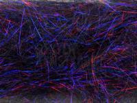 FMFly Peacock Hair - Black/Violet/Red BESTEN KUNSTKODER Angelshop