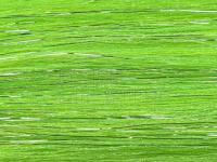 Future Fly Salmo Flash - Chartreuse BESTEN KUNSTKODER Angelshop