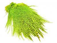 FutureFly Freshwater Rooster Saddle Grizzly - Fl Green/Chartreuse BESTEN KUNSTKODER Angelshop