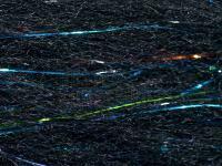 FutureFly Polar Flash - Black BESTEN KUNSTKODER Angelshop