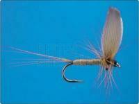 Gold Brown no.14 BESTEN KUNSTKODER Angelshop