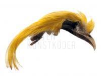 Veniard Golden Pheasant Topping Crest BESTEN KUNSTKODER Angelshop