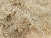 Hare Dubbing 2g - nat. pale brown BESTEN KUNSTKODER Angelshop