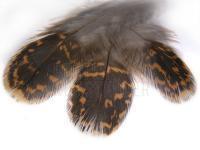 Grouse - body plumage BESTEN KUNSTKODER Angelshop