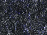 Hareline Dubbin Senyo's Laser Dub - #11 Black BESTEN KUNSTKODER Angelshop