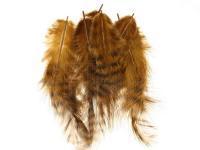 Hareline Grizzly Soft Hackle - Brown