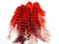 Hareline Grizzly Soft Hackle - Red BESTEN KUNSTKODER Angelshop