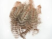 Hareline Grizzly Soft Hackle - Tan