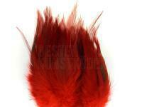 Hareline Woolly Bugger Saddle - Blood Red BESTEN KUNSTKODER Angelshop