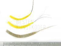 Hemingway's Mayfly Tube Bodies