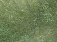 Hemingway`s Peacock Dubbing - 01 Green BESTEN KUNSTKODER Angelshop