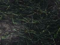 Hemingway`s Peacock Dubbing - 04 Black BESTEN KUNSTKODER Angelshop