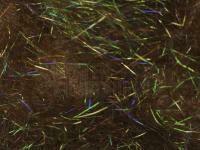 Hemingway`s Peacock Dubbing - 09 UV Bronze BESTEN KUNSTKODER Angelshop