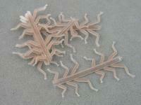 Hemingway`s Stone Fly Nymph Rubber Legs - L Brown BESTEN KUNSTKODER Angelshop