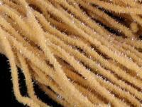 Hends Mop Chenille - 103 BESTEN KUNSTKODER Angelshop