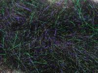 Dubbing FMFly Sparkle Dub - Rainbow Black BESTEN KUNSTKODER Angelshop