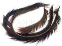 Hends Zonker Strip Muskrat 2.5mm - Brown - Black tip