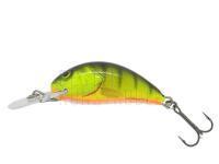 Salmo Hornet H2S - Hot Perch BESTEN KUNSTKODER Angelshop