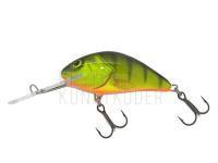 Salmo Hornet H4F - Hot Perch BESTEN KUNSTKODER Angelshop